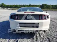 2013 Ford MUSTANG фото