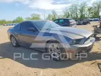 2013 Ford MUSTANG photo