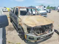 2013 Ford F-250 photo