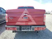 2013 Ford F-150 photo