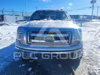2013 Ford F-150 фото