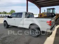 2013 Ford F-150 фото