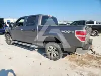 2013 Ford F-150 фото