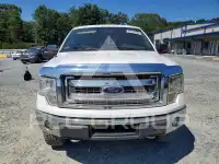 2013 Ford F-150 фото