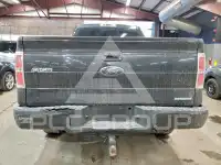 2013 Ford F-150 photo