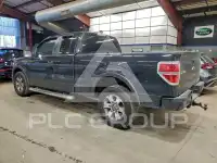 2013 Ford F-150 photo