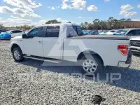 2013 Ford F-150 фото