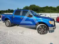 2013 Ford F-150 фото