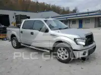 2013 Ford F-150 фото