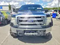 2013 Ford F-150 photo