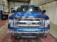 2013 Ford F-150 фото