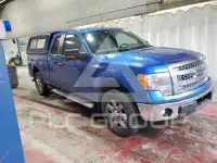 2013 Ford F-150 фото