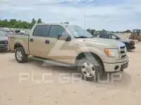 2013 Ford F-150 photo