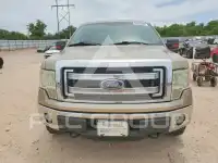 2013 Ford F-150 photo