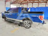 2013 Ford F-150 фото