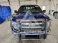 2013 Ford F-150 фото