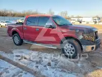2013 Ford F-150 фото