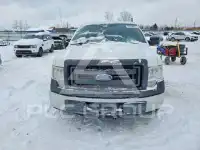 2013 Ford F-150 photo
