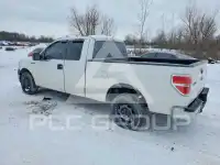 2013 Ford F-150 photo