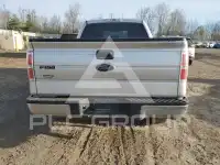2013 Ford F-150 фото