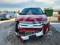 2013 Ford EDGE фото