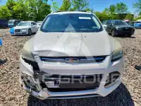 2013 Ford ESCAPE фото