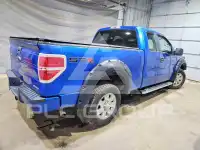 2013 Ford F-150 photo