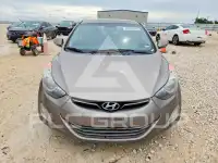 2013 Hyundai Elantra фото