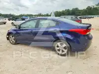2013 Hyundai Elantra фото