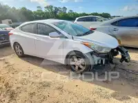 2013 Hyundai Elantra photo