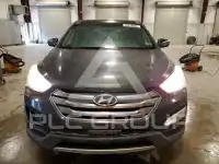 2013 Hyundai Santa Fe фото