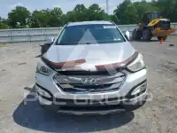 2013 Hyundai Santa Fe фото