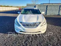 2013 Hyundai Sonata photo