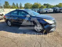 2013 Hyundai Sonata фото
