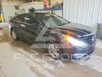 2013 Hyundai Sonata фото