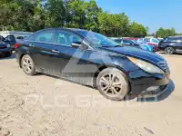 2013 Hyundai Sonata фото
