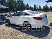 2013 Hyundai Sonata photo