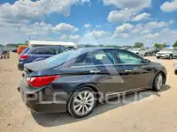 2013 Hyundai Sonata фото