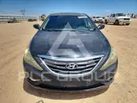 2013 Hyundai Sonata фото