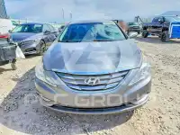 2013 Hyundai Sonata фото