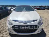 2013 Hyundai Sonata photo