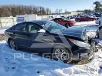 2013 Hyundai Sonata фото