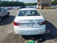 2013 Hyundai Sonata photo