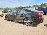 2013 Hyundai Sonata photo