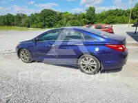 2013 Hyundai Sonata фото