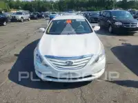 2013 Hyundai Sonata photo