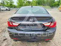 2013 Hyundai Sonata фото