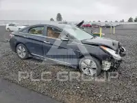 2013 Hyundai Sonata photo