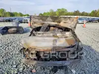 2013 Hyundai Sonata photo