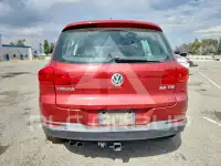 2013 Volkswagen Tiguan photo